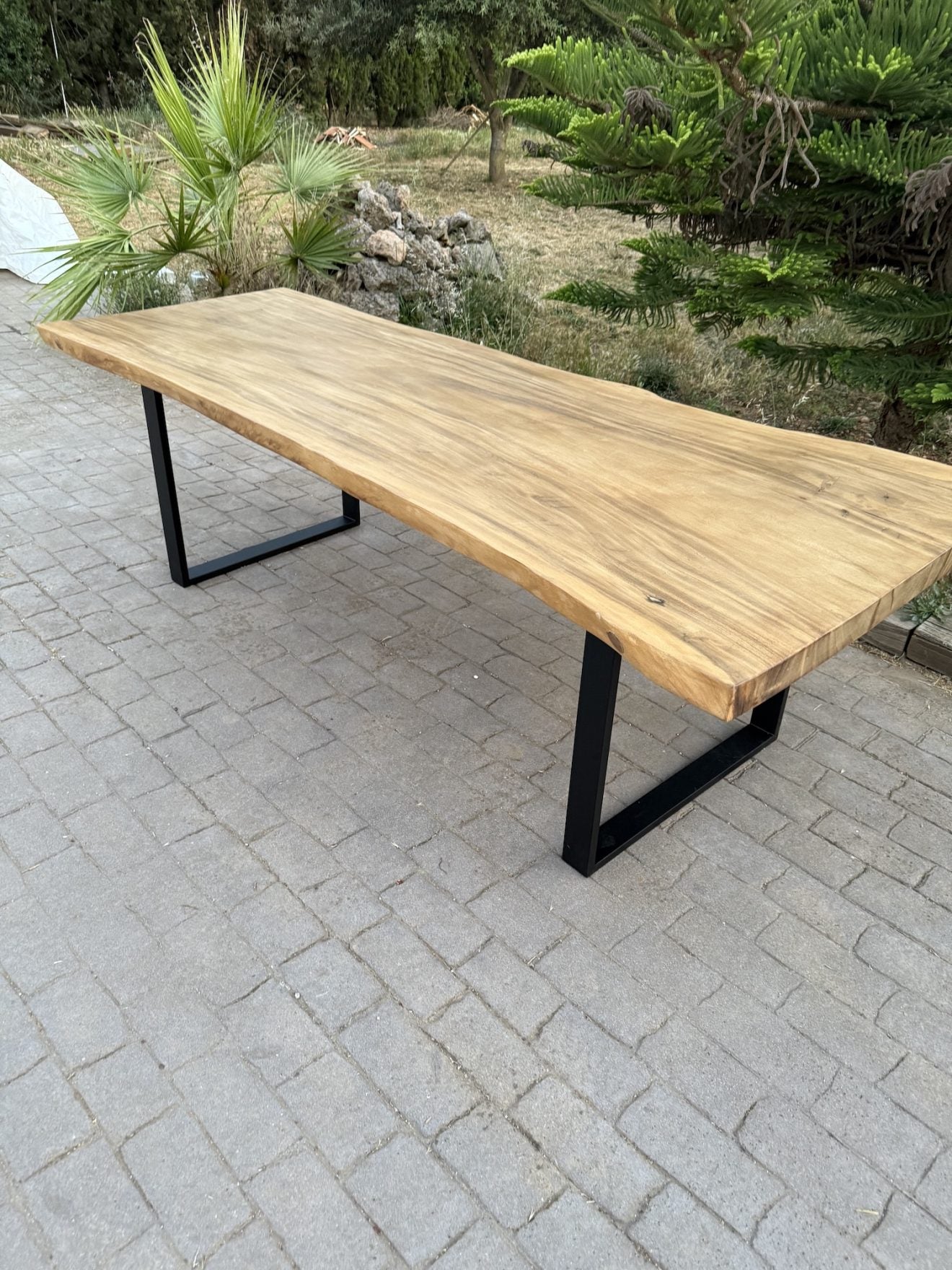 Mesa Tronco